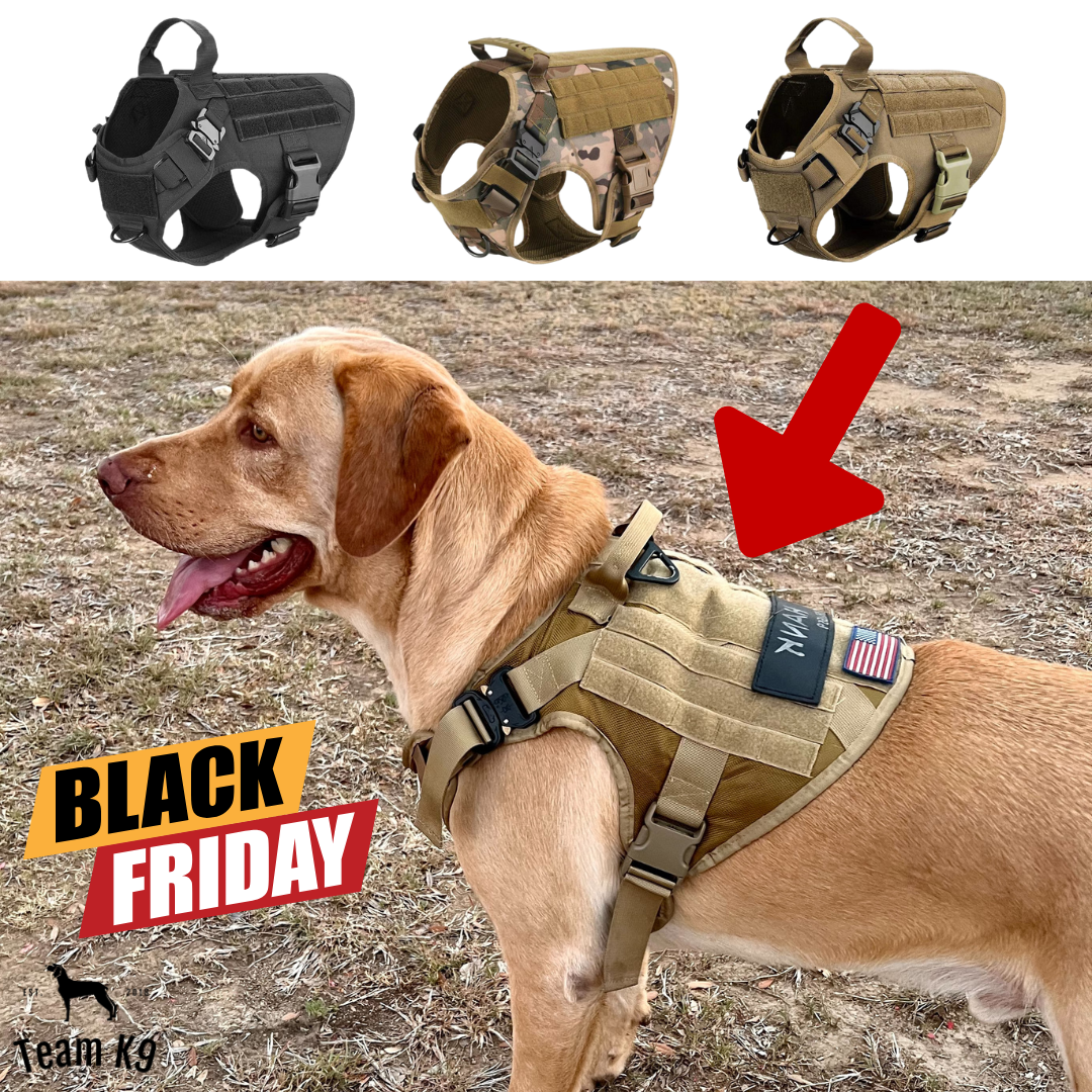 Team K9 Facebook ad