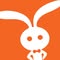 Rabity Kids Fashion