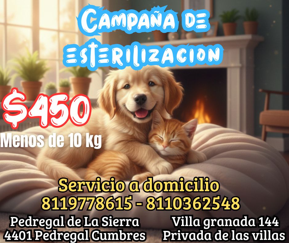 Veterinaria pedregal Facebook ad: CAMPAÑA DE ESTERILIZACIÓN