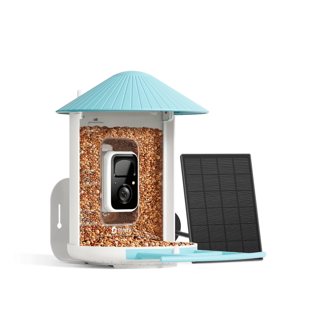 Birdfy by Netvue Facebook ad from Jul 21, 2026