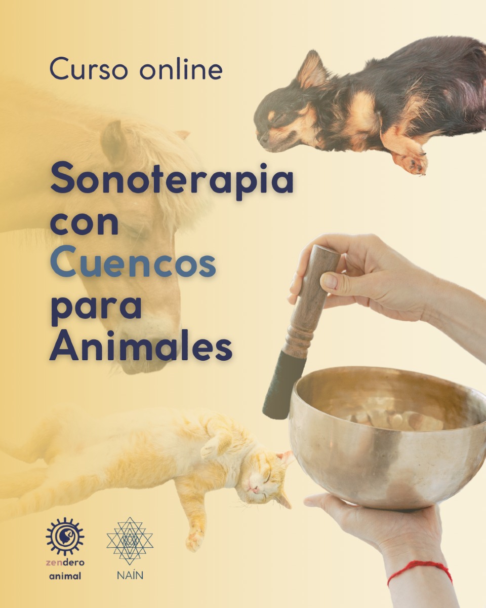 Zendero Animal Facebook ad: ¡Ya disponible! SONOTERAPIA CON CUENCOS PARA ANIMALES