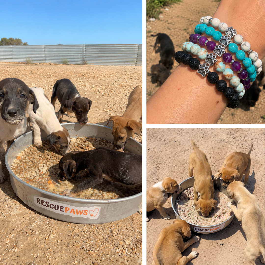 Rescue Paws Facebook ad
