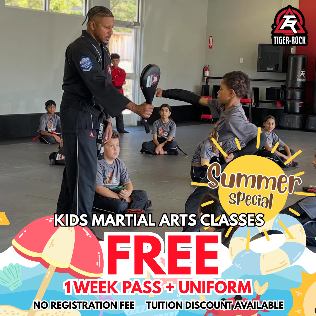 Tiger Rock Martial Arts of Katy South Facebook ad