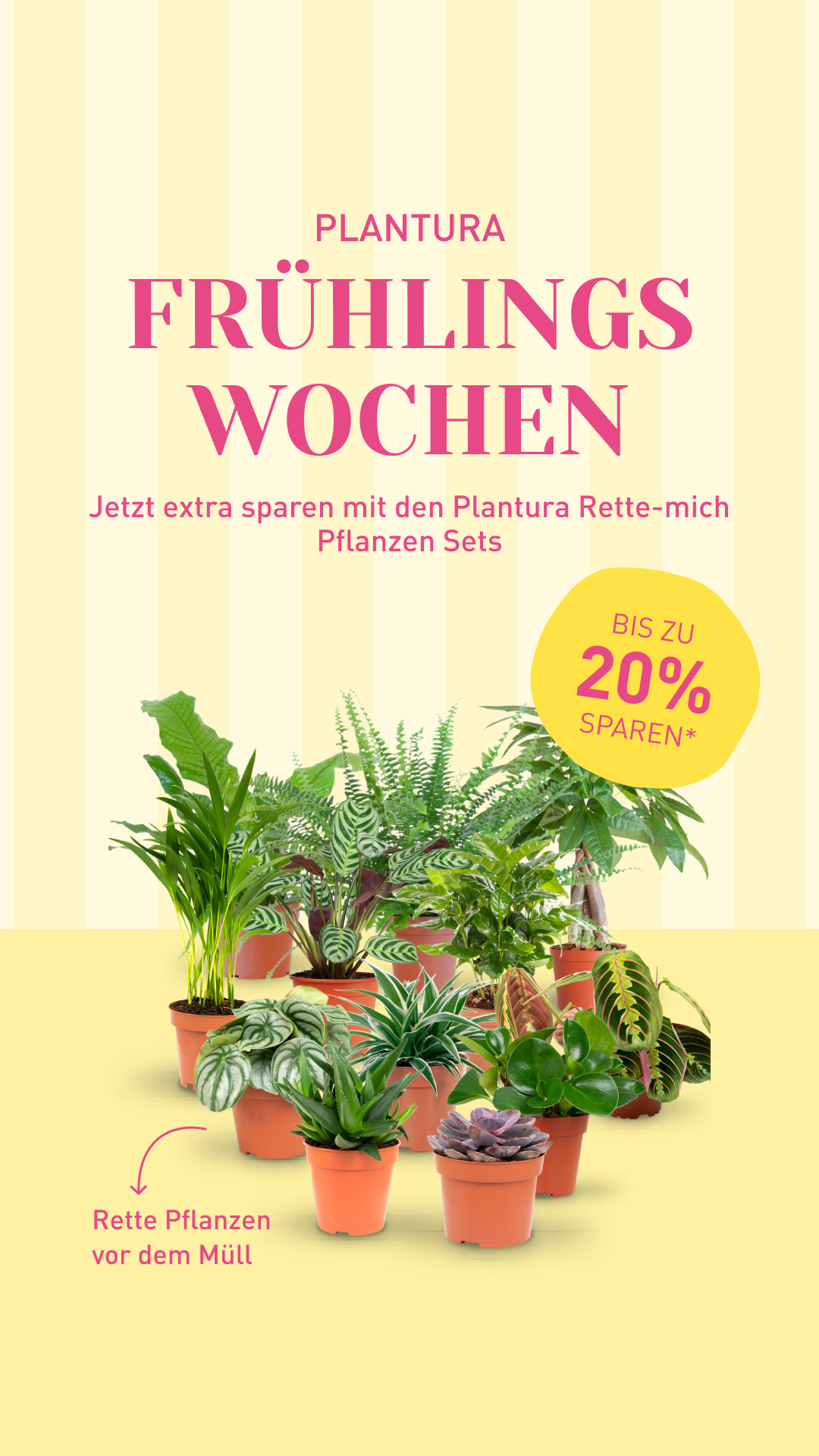 Plantura Facebook ad
