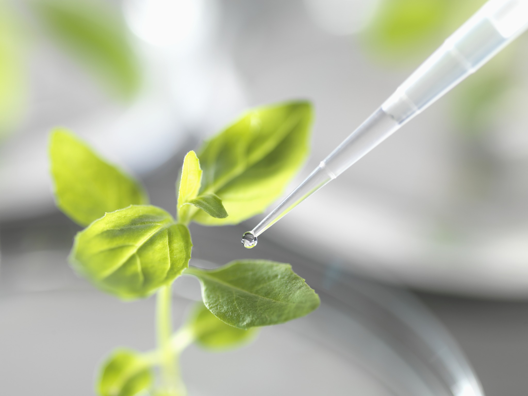 Sinochem Facebook ad: Sinochem Holdings operates in 8 sectors covering life…