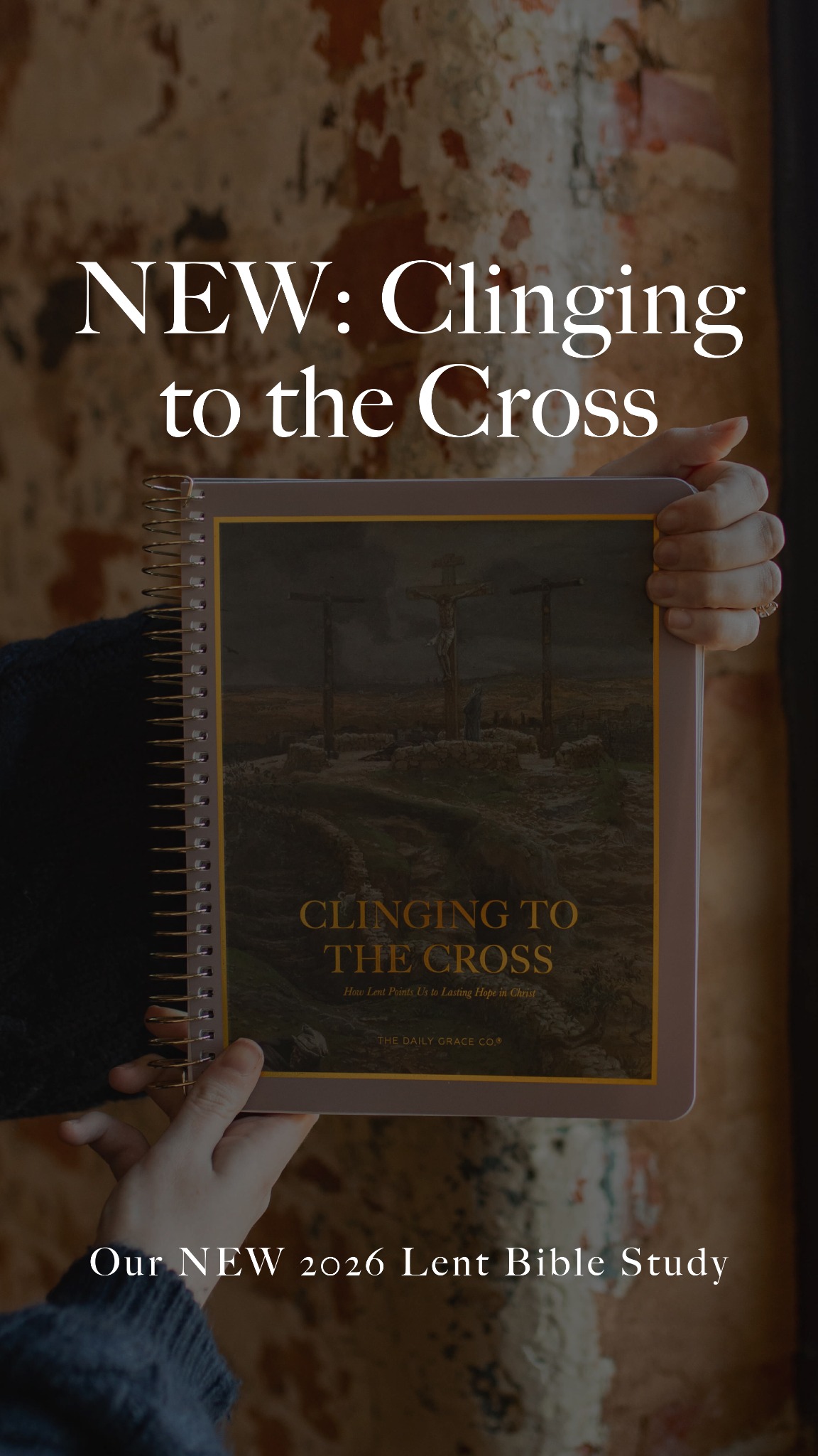 The Daily Grace Co. Facebook ad