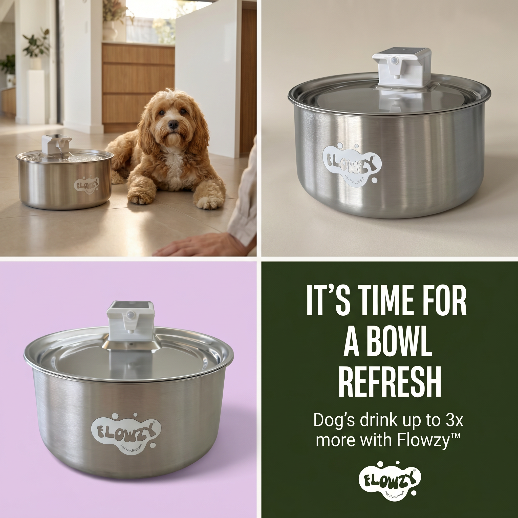 Dog Health Australia Facebook ad