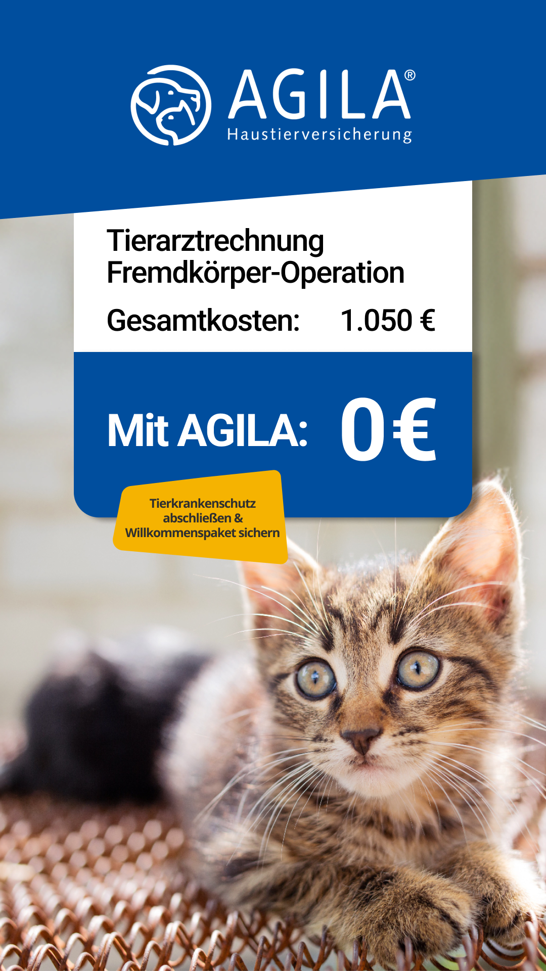 AGILA Haustierversicherung Facebook ad: Willkommenspaket für Dein Kitten