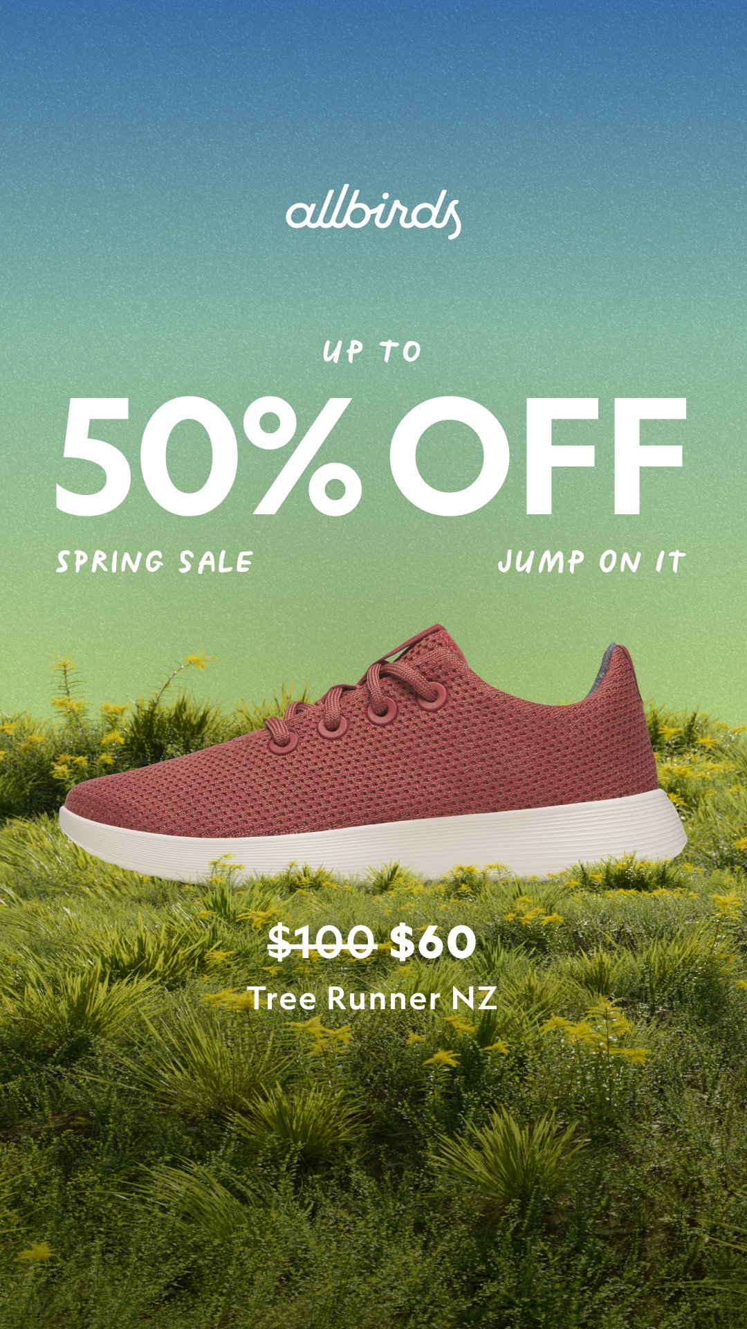 Allbirds Facebook ad