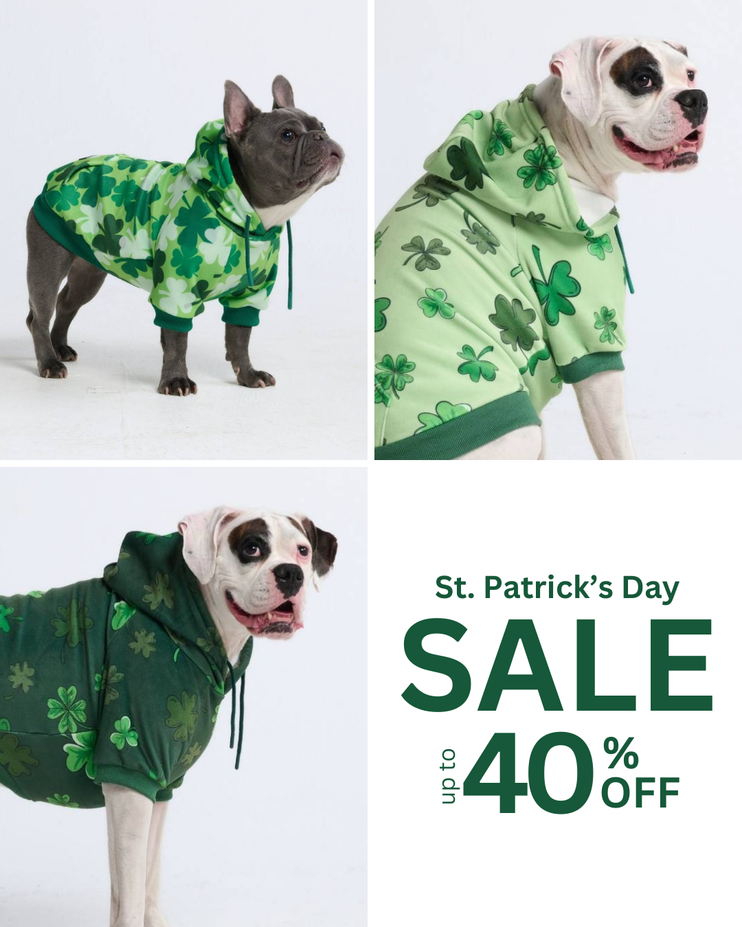 Spark Paws Facebook ad