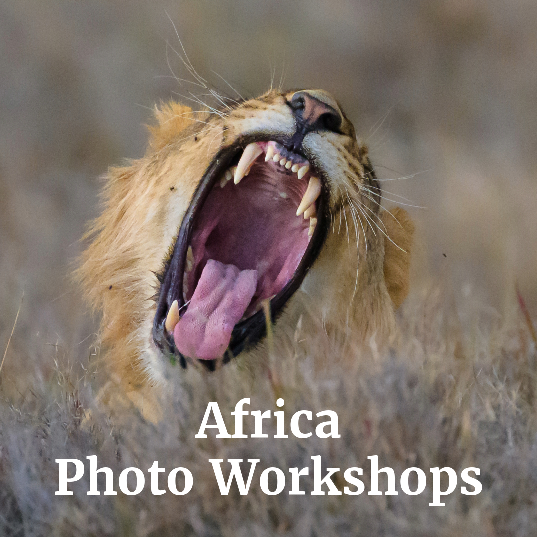 Akari Photo Tours Facebook ad: Africa Photography Tours