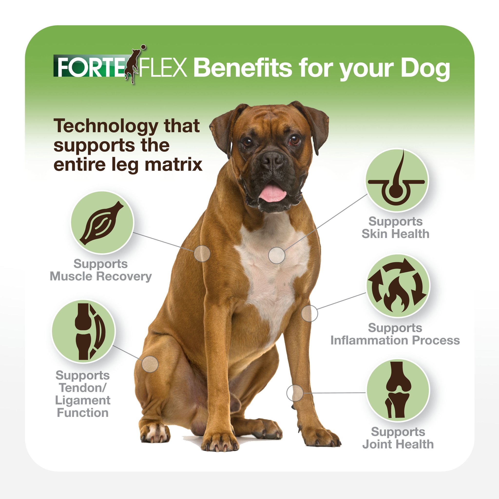 Forte Flex Facebook ad: Fueled By Forte Flex