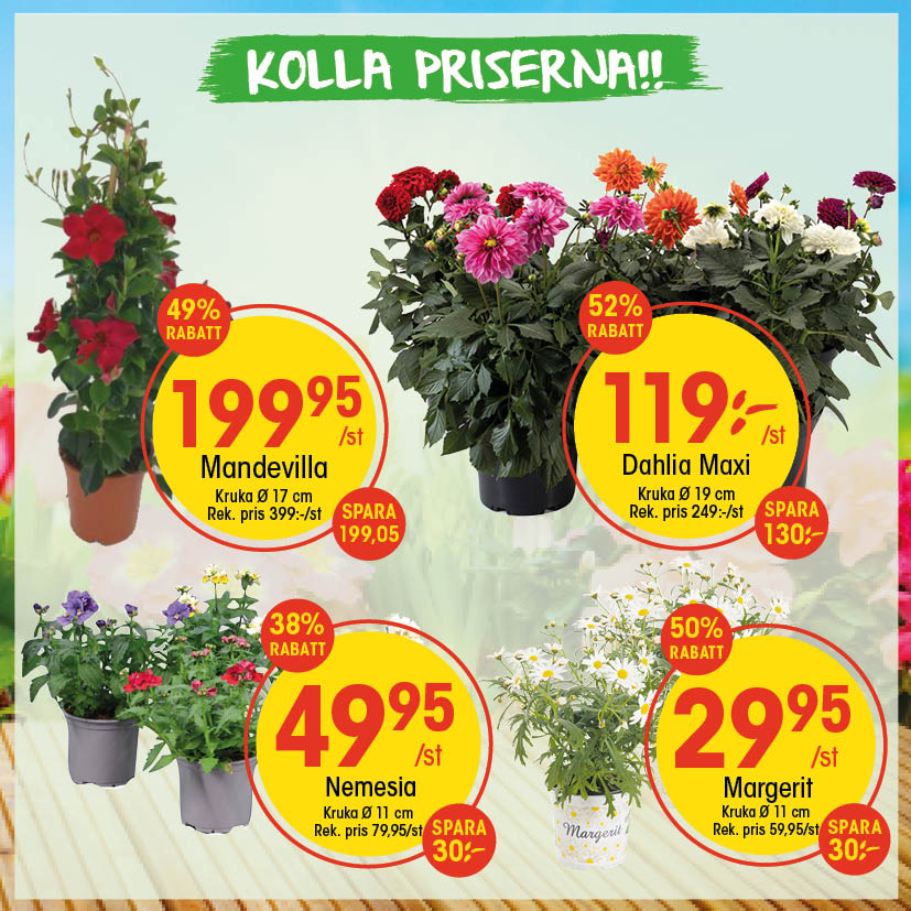EKO Malmö Facebook ad from Jun 1, 2026