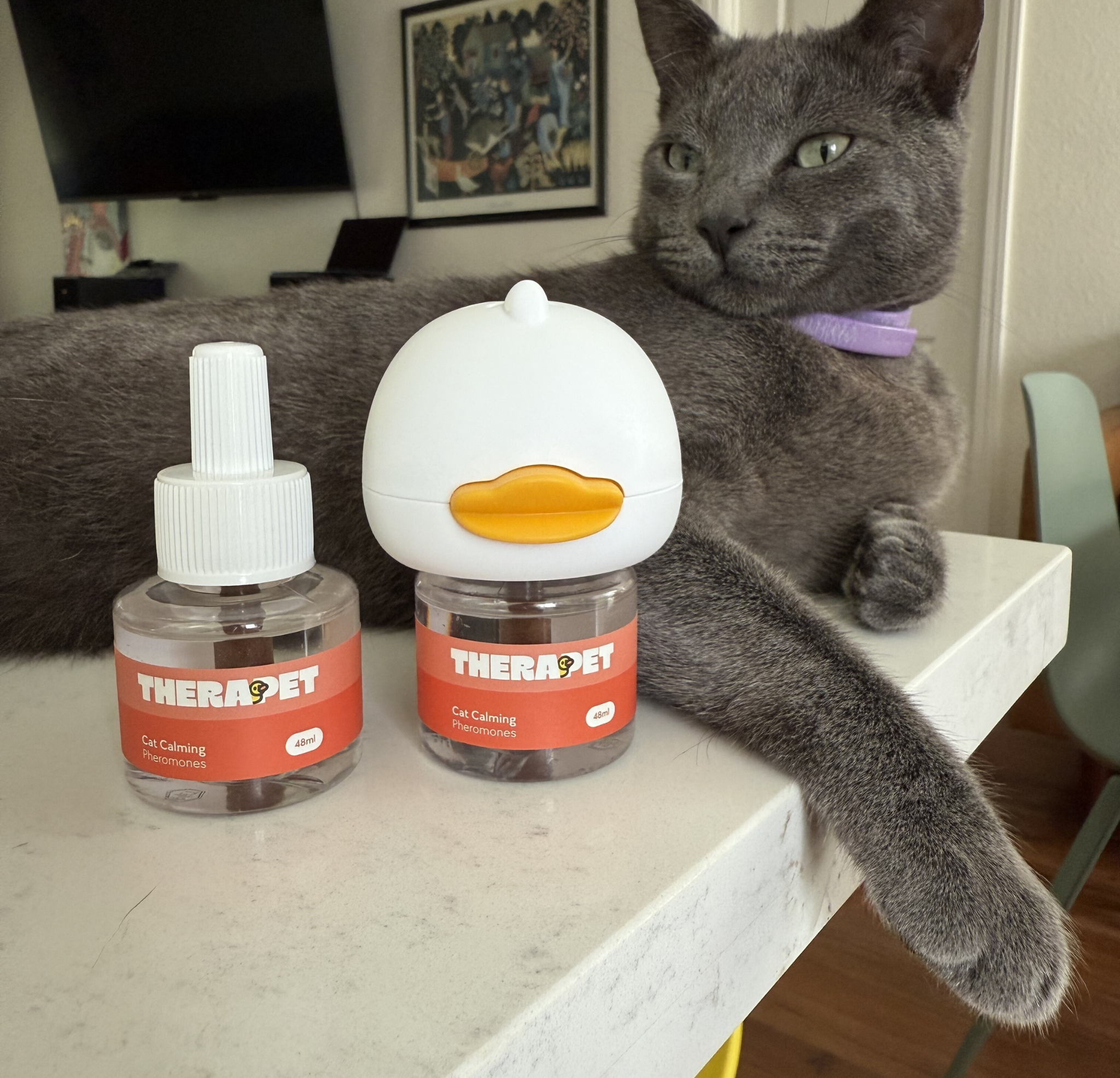 Vet approved products Facebook ad