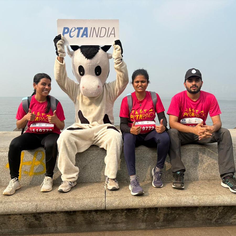 PETA India Facebook ad: The Race for Animal Liberation Is On!