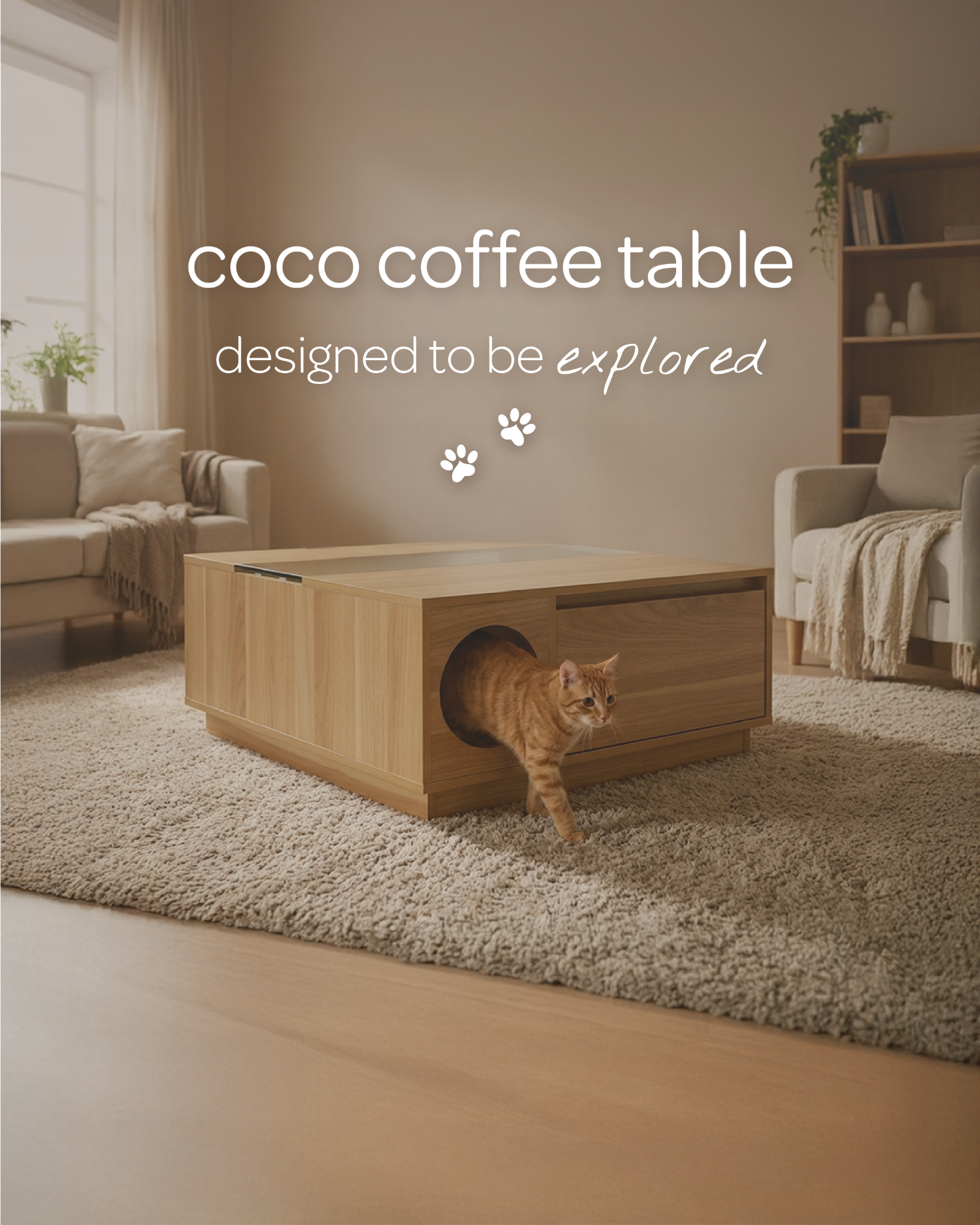 4 Cats & Dogs Home Furnishings Facebook ad