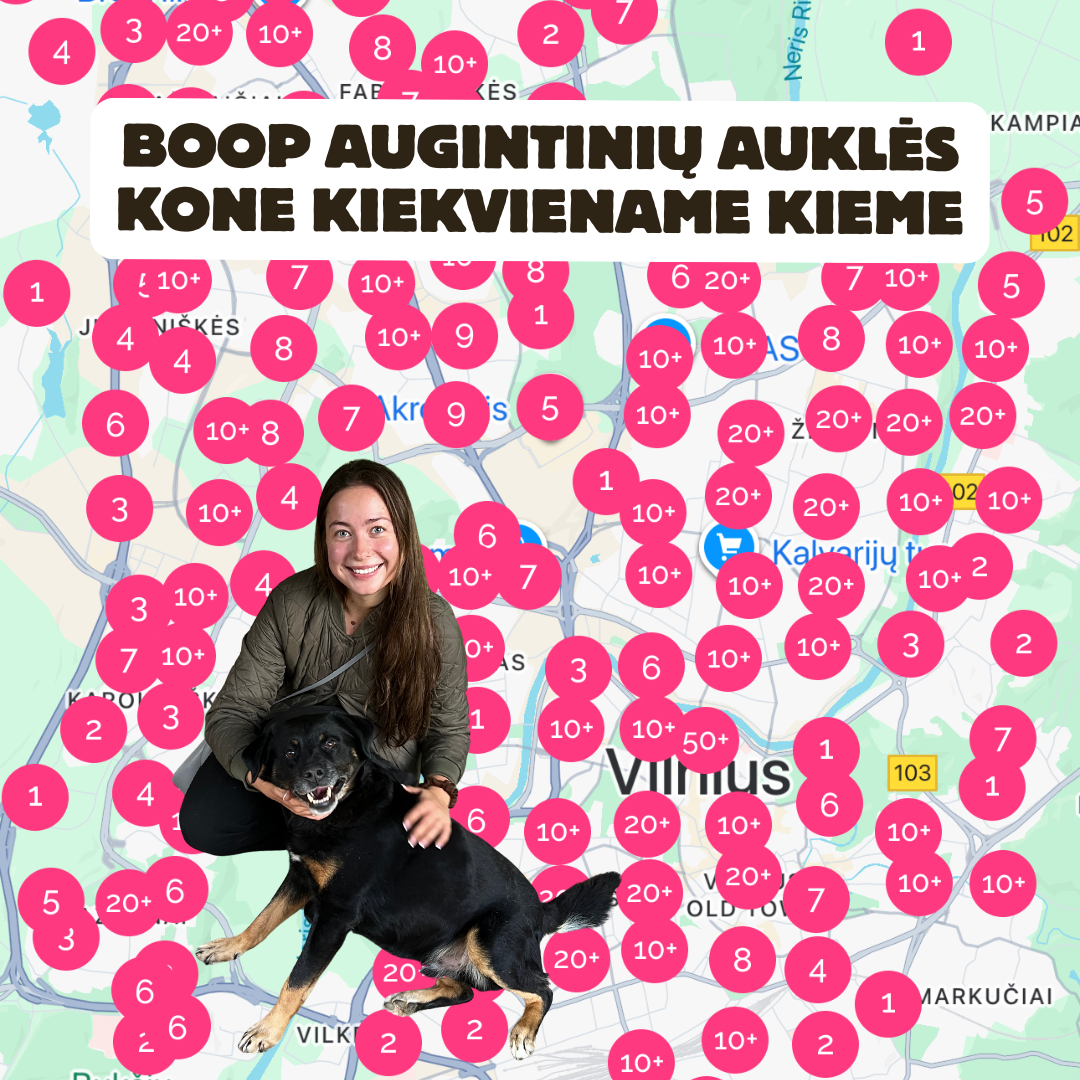 Boop Facebook ad
