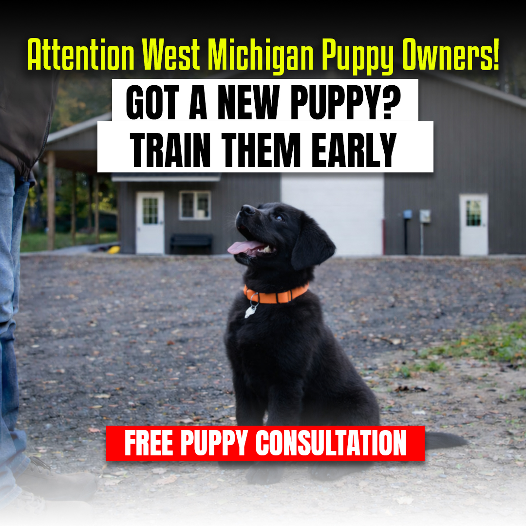 West Michigan K9 Facebook ad