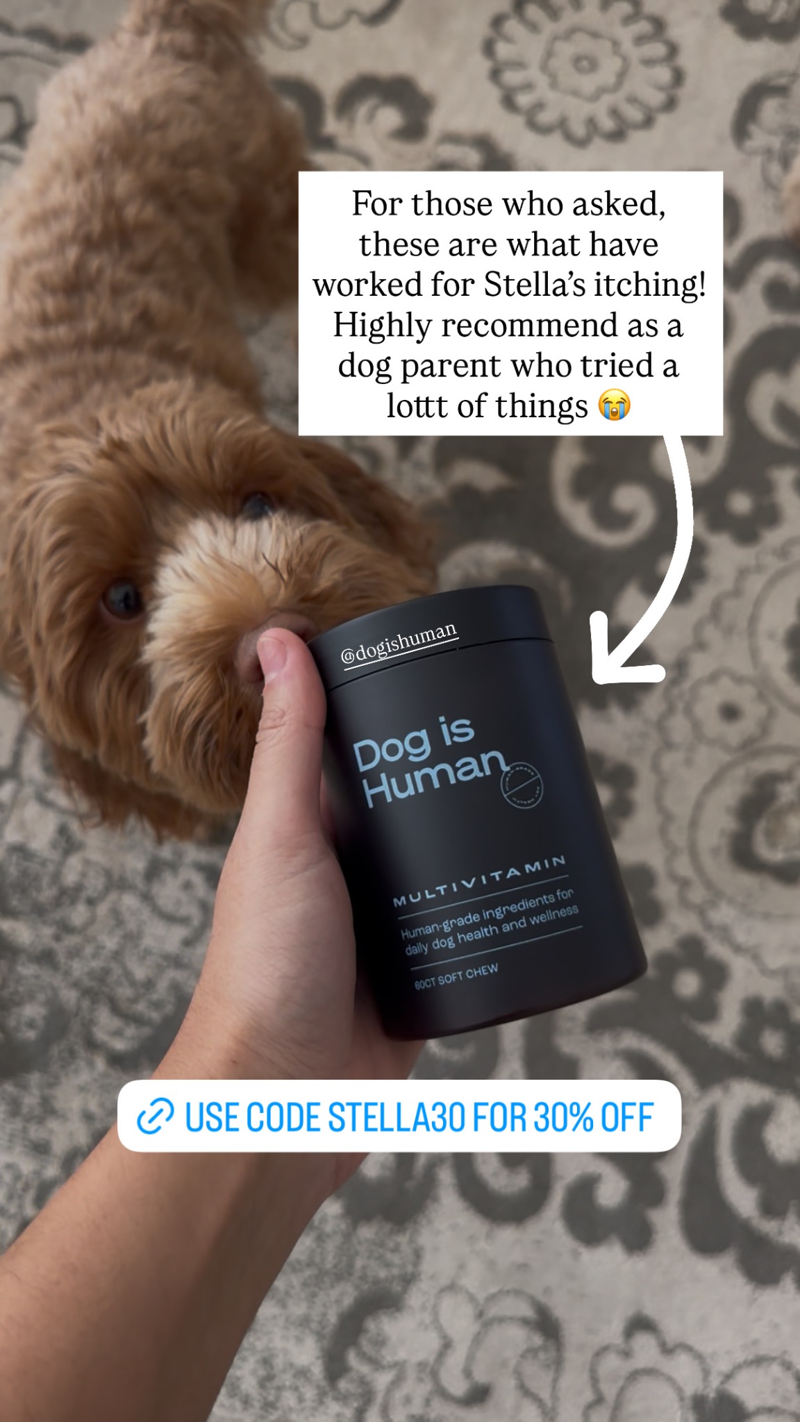 Snacking Stella Facebook ad: Daily Dog Multivitamin, Real Results