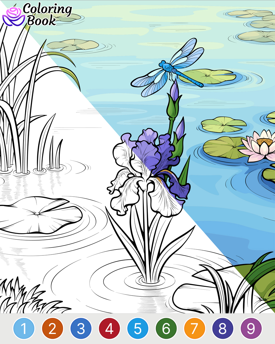 Coloring Book - Color by Number Facebook ad