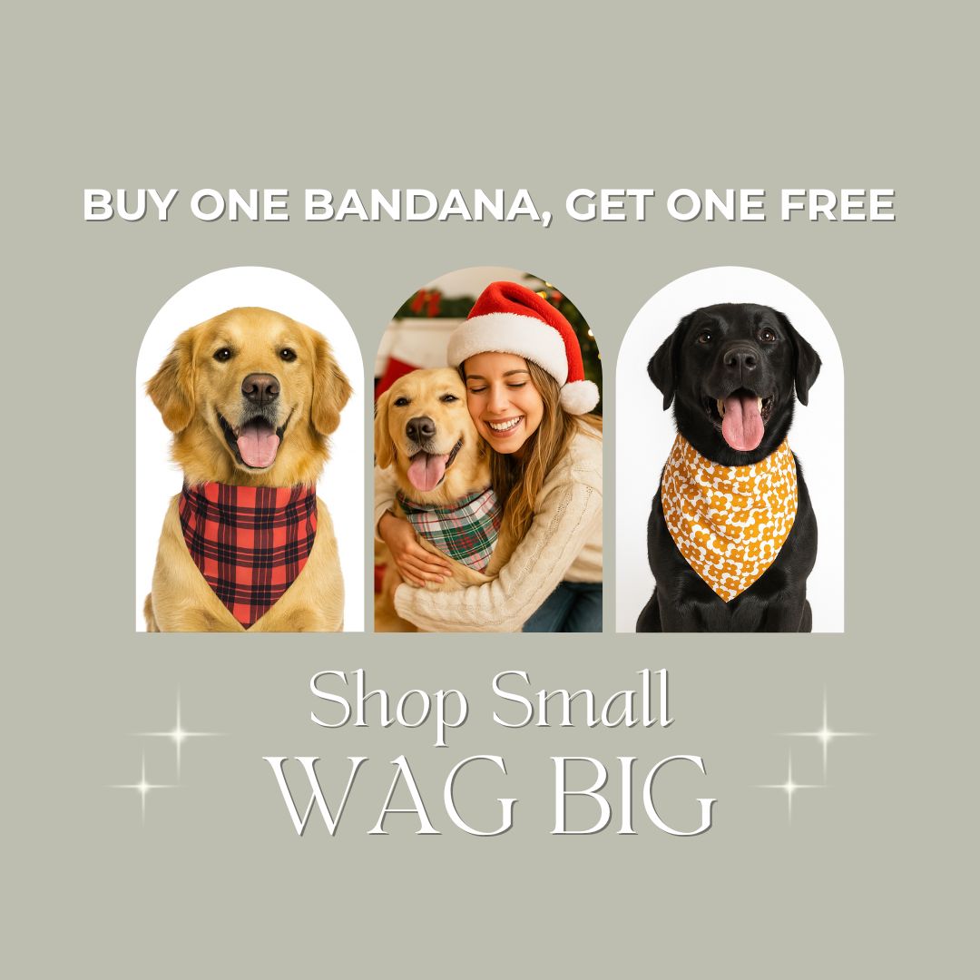 waggyydog Facebook ad: BOGO Today