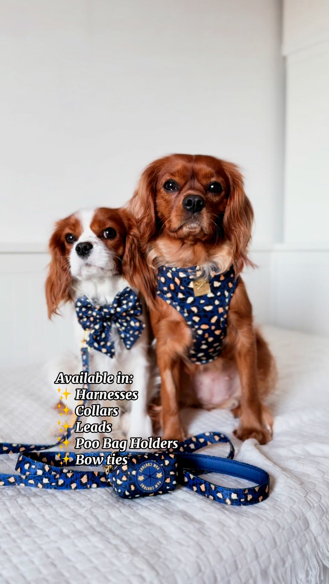 Paw Couture Facebook ad: Over 20,000 Happy Customers Worldwide