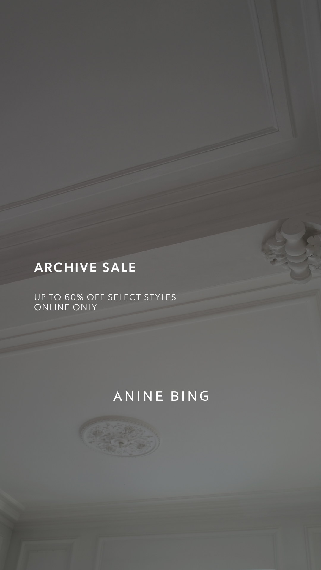 ANINE BING Facebook ad