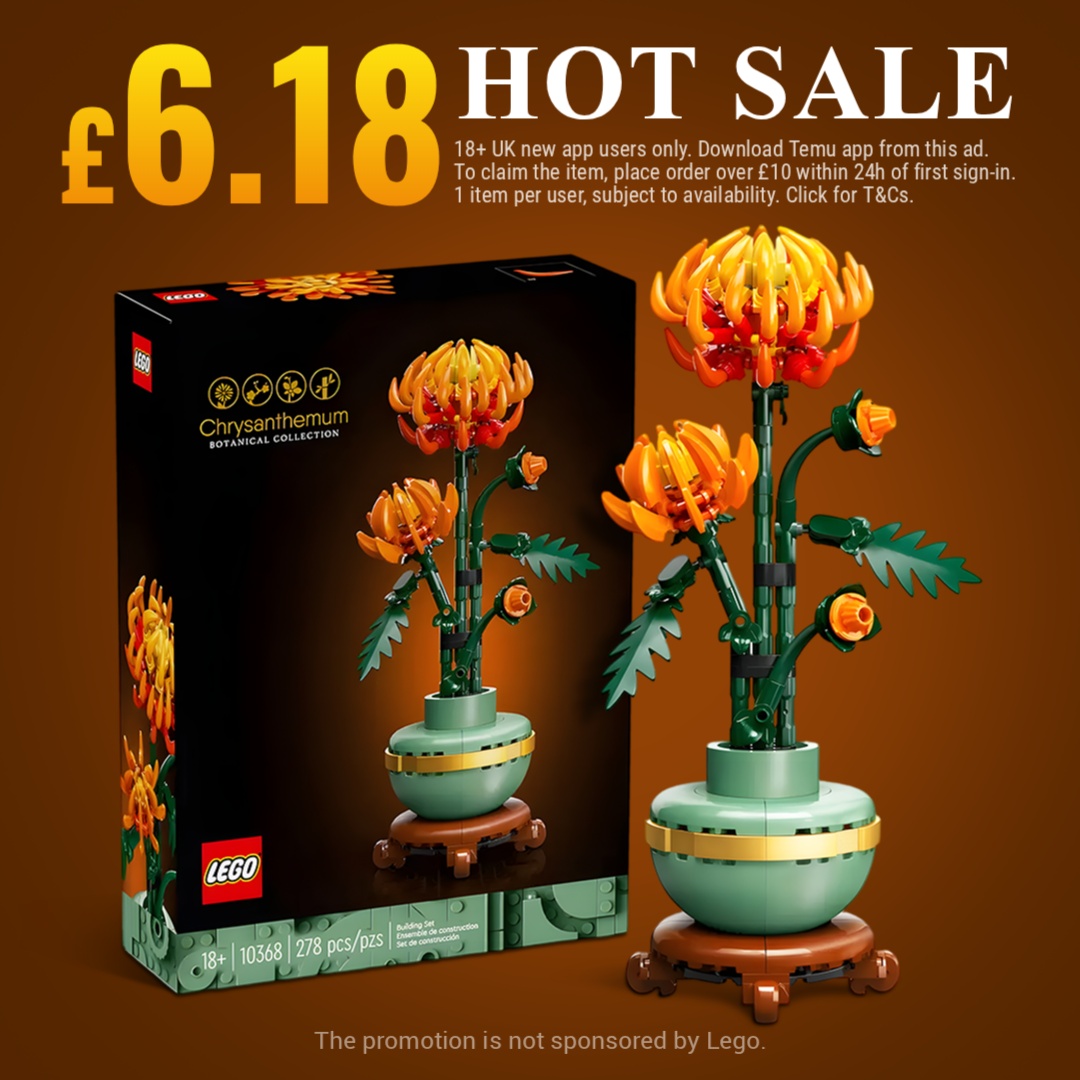Temu.UK.TopPicks Facebook ad