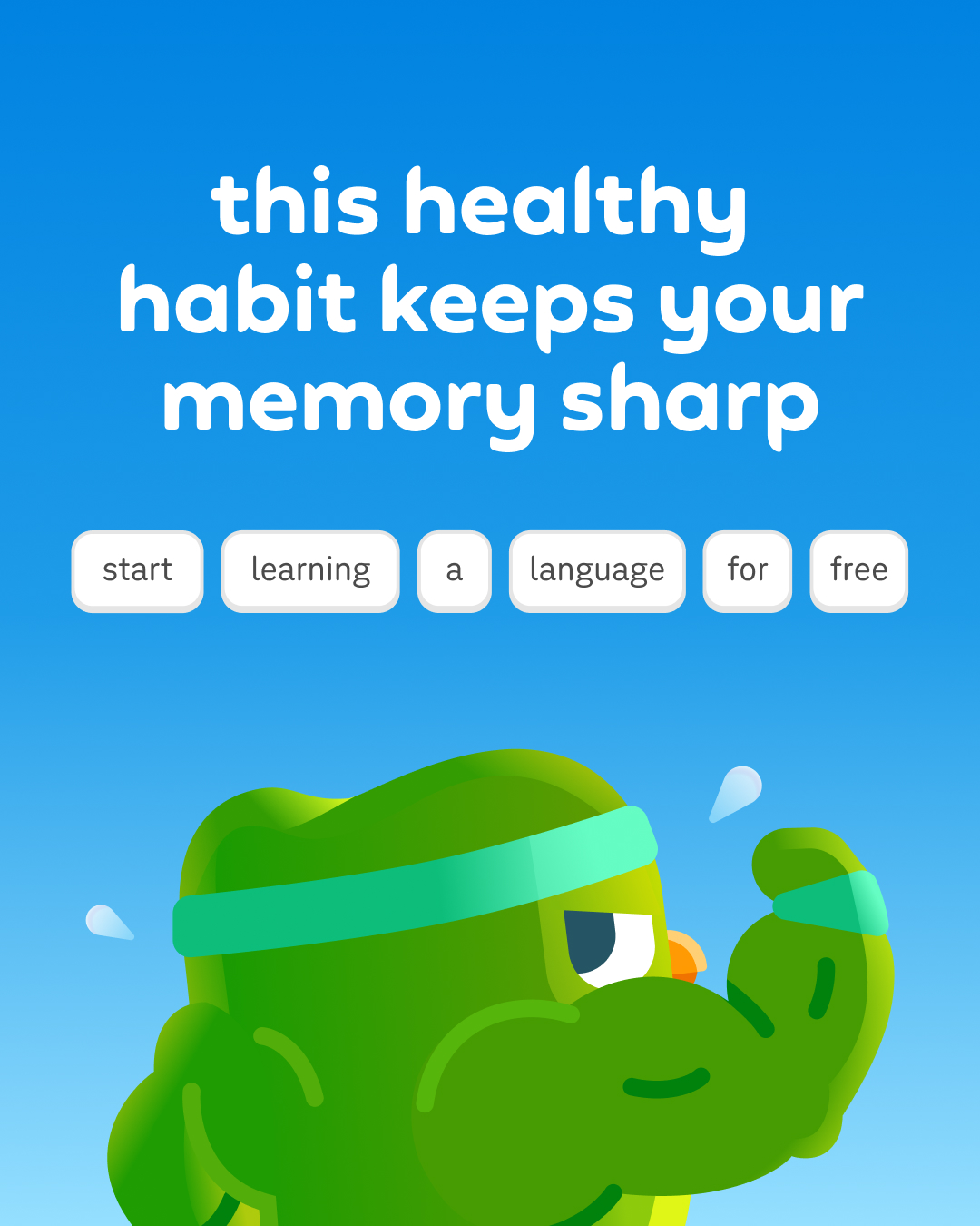 Duolingo Facebook ad