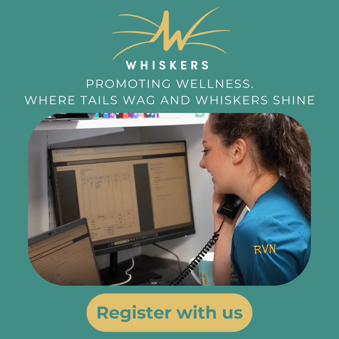 Whiskers Veterinary Practice Facebook ad