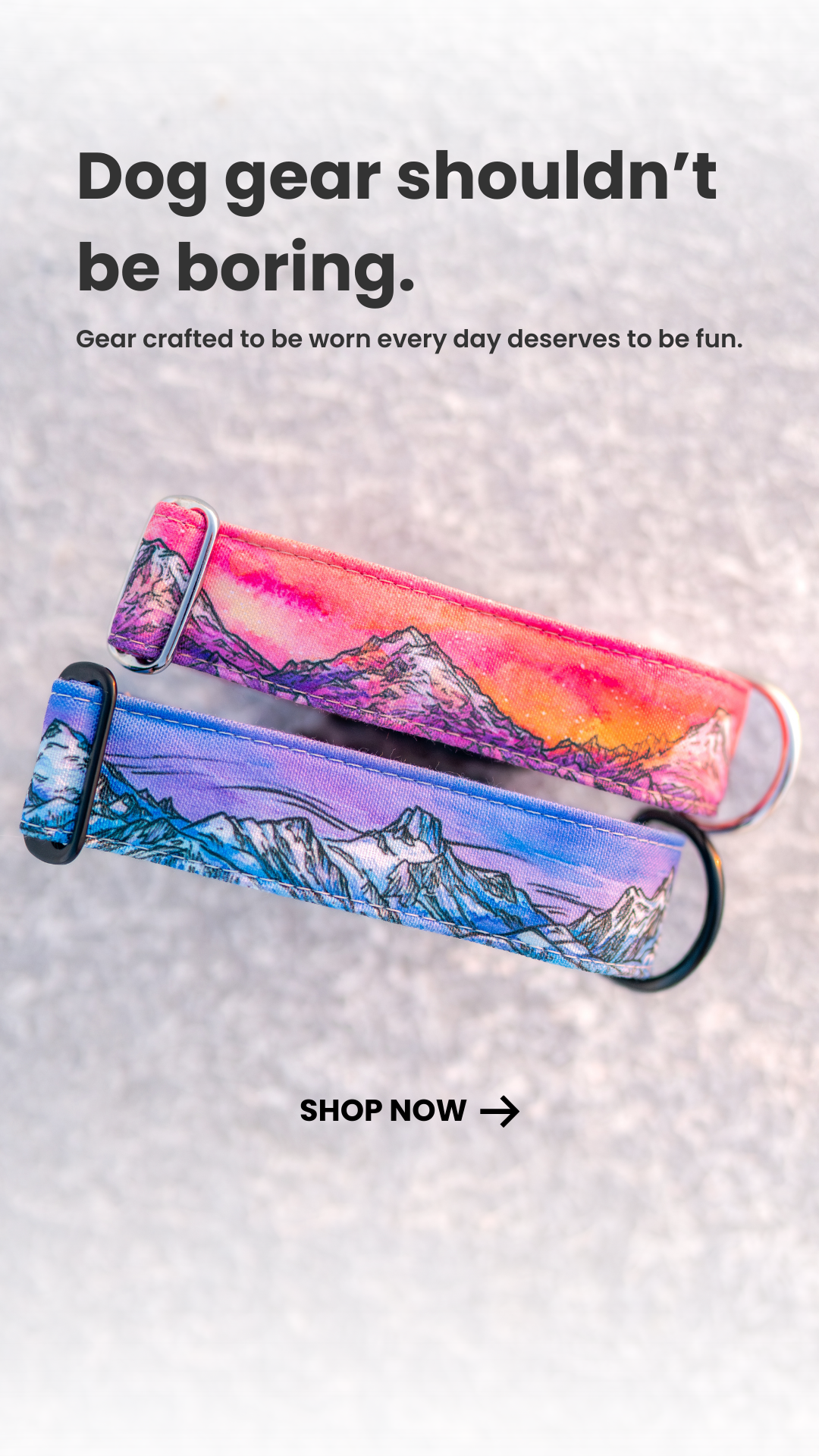 Gray and Hound Facebook ad from Mar 12, 2026