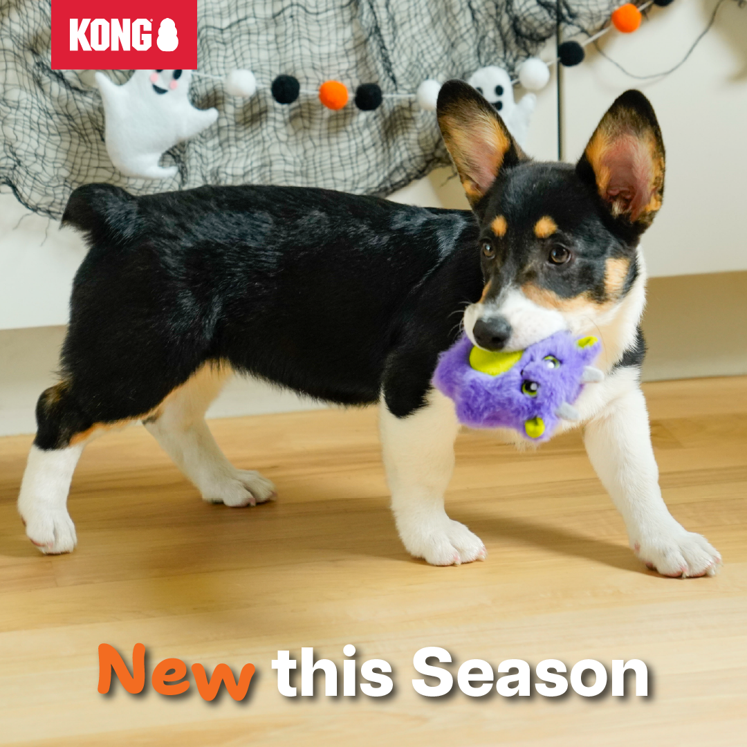 KONG Facebook ad: Seasonal Look. Same Cuddle.