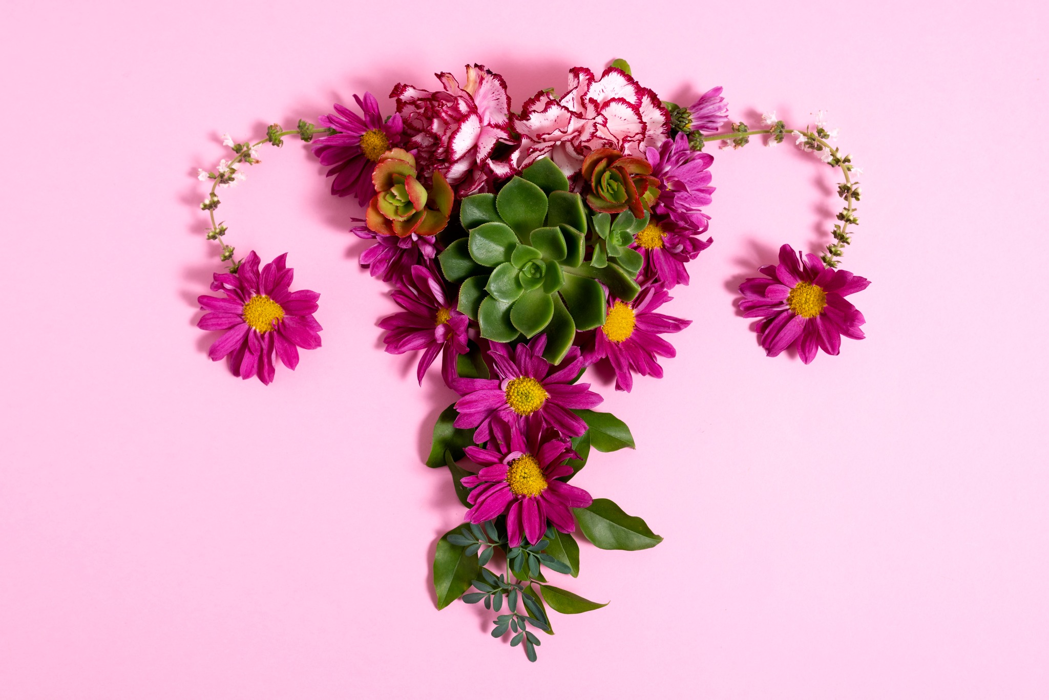 Ozark Women's Specialty Group Facebook ad: Ozark Women's Specialty Group | Dr Amy Fry and Dr Katie Beal
