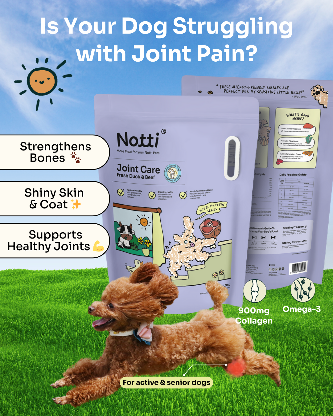 Notti Pet Food Facebook ad