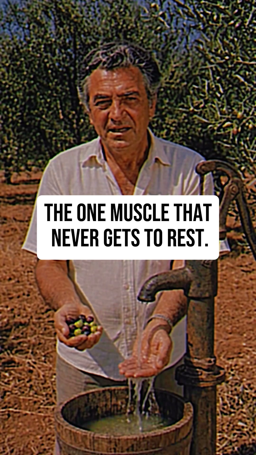 Olivis Facebook ad: Unlock the Power of Polyphenols