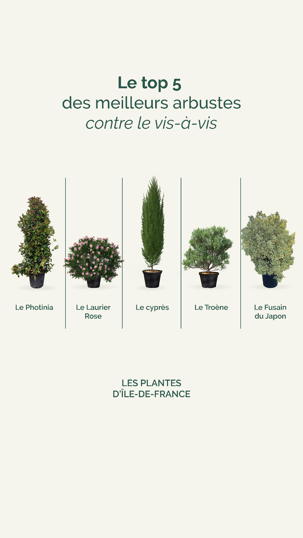 Les plantes d'Île de France Facebook ad from Jun 19, 2024