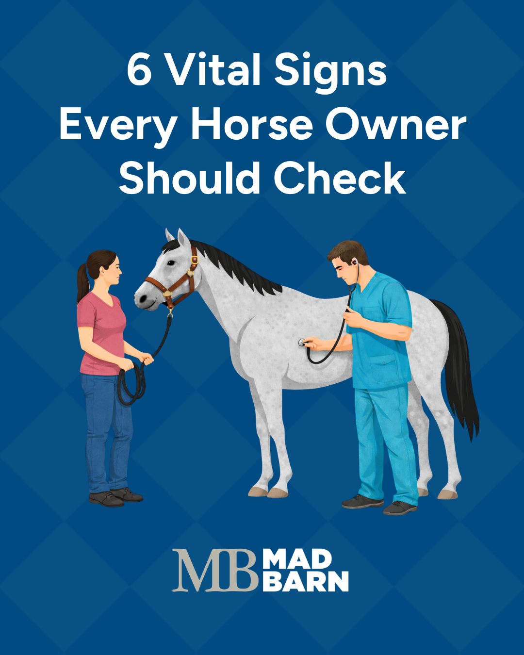 Mad Barn Facebook ad