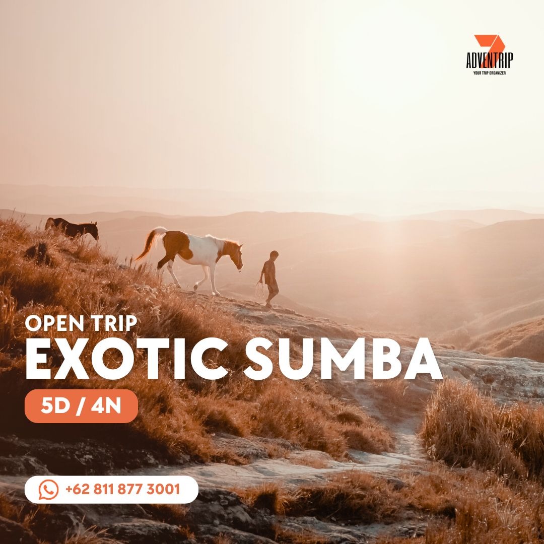 7Adventrip Facebook ad