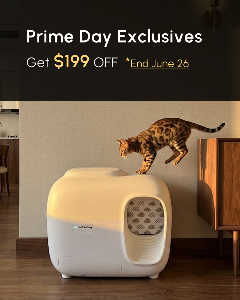 PetSnowy Facebook ad