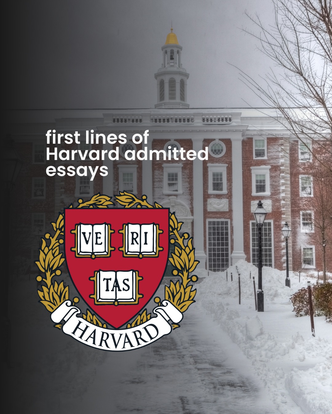 Prequel: Programs for highly ambitious kids Facebook ad: College admissions officers often decide on your essay…