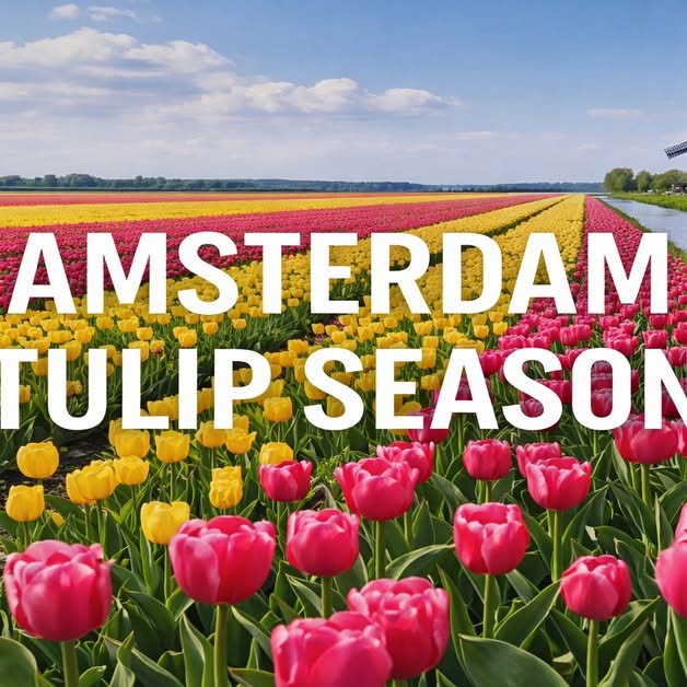 Grandpa Bo Facebook ad: Planning a trip to Amsterdam?
