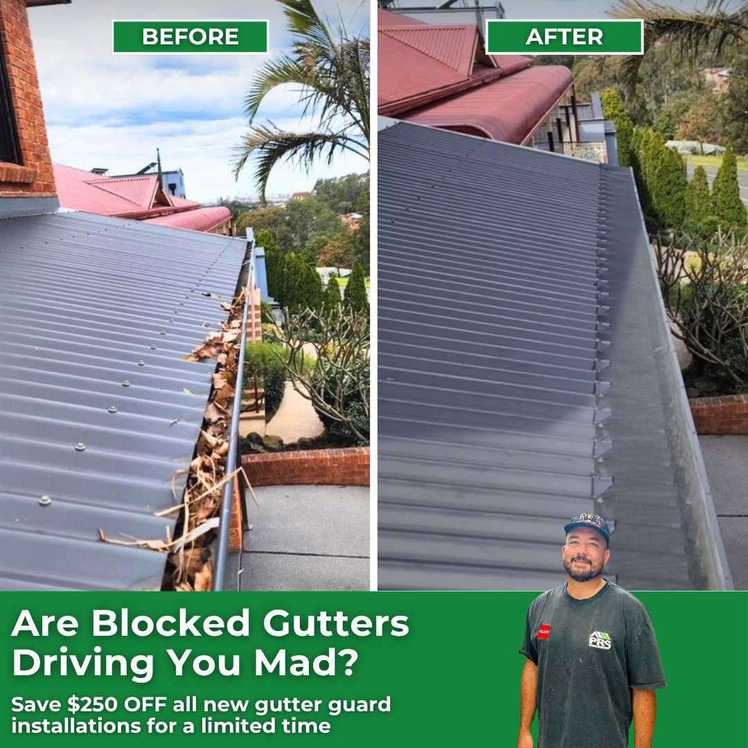 PAKU Roof Services Facebook ad