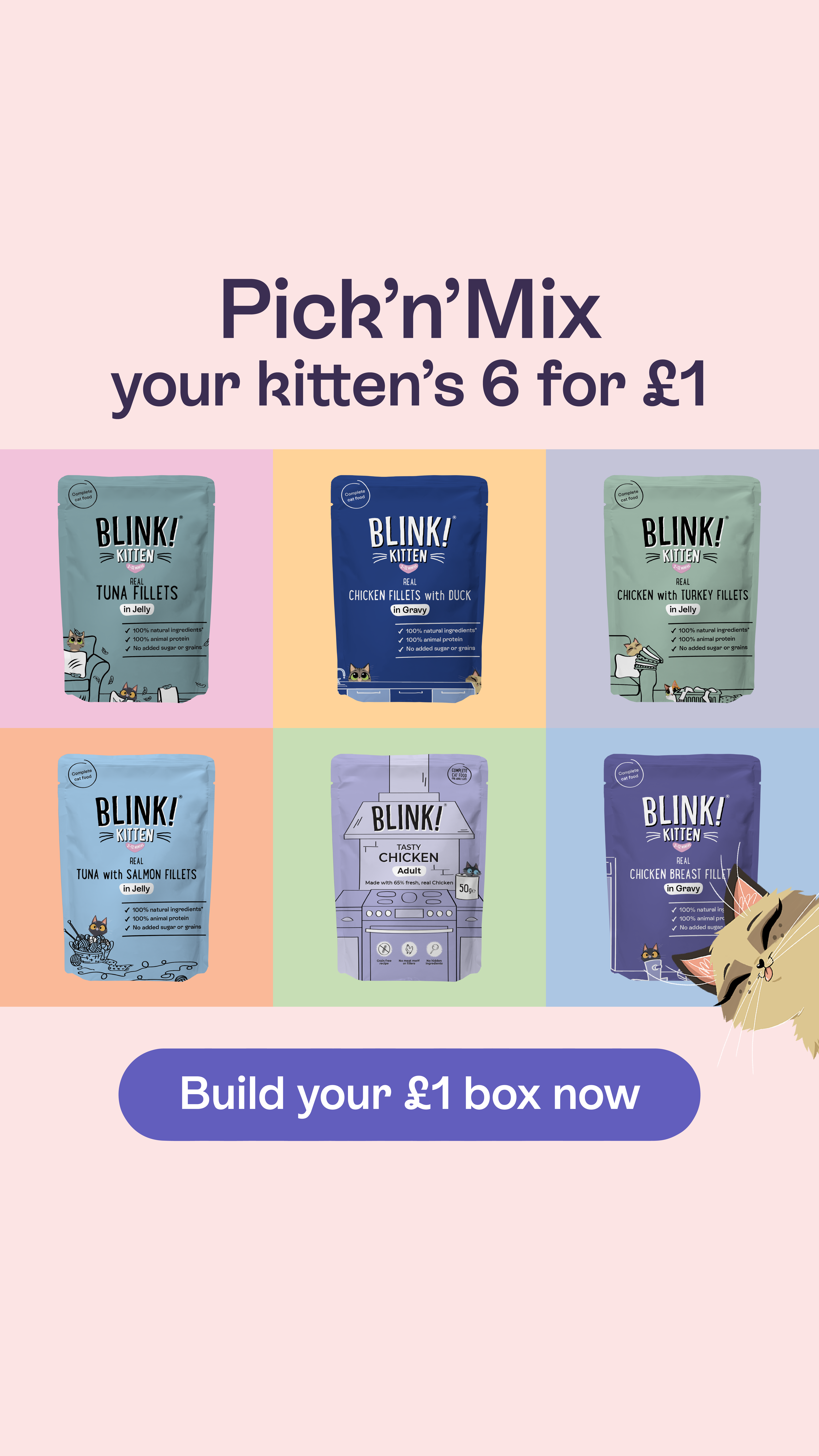 Blink Cat Food Facebook ad: Pick & Mix Any 6 Recipes For Only £1