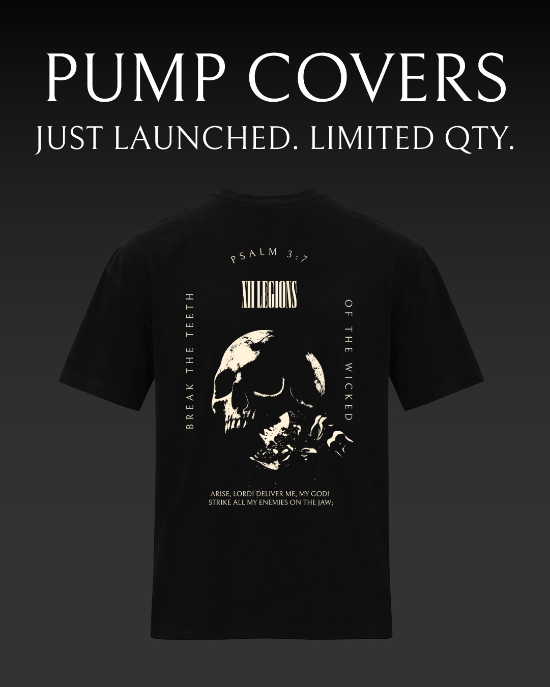 XII Legions Facebook ad: Premium Heavy Ts