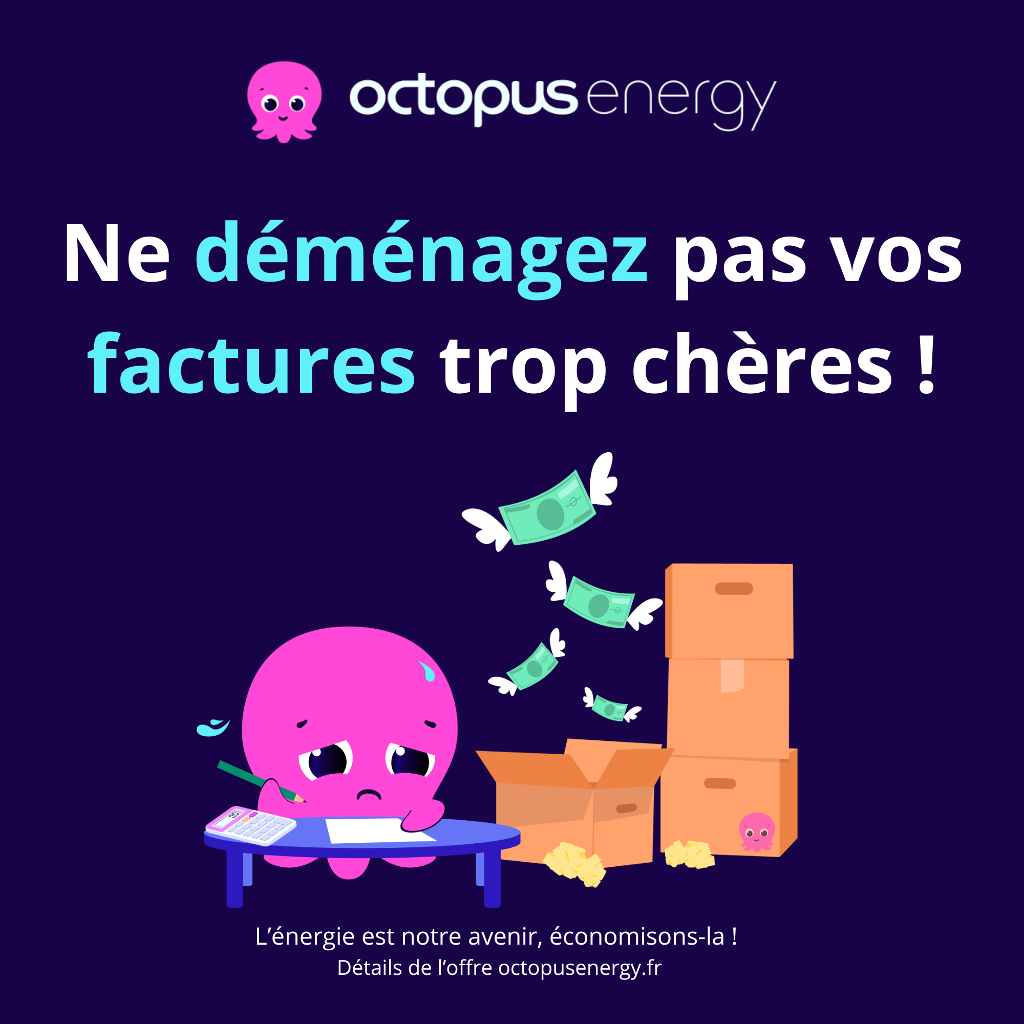 Octopus Energy Facebook ad