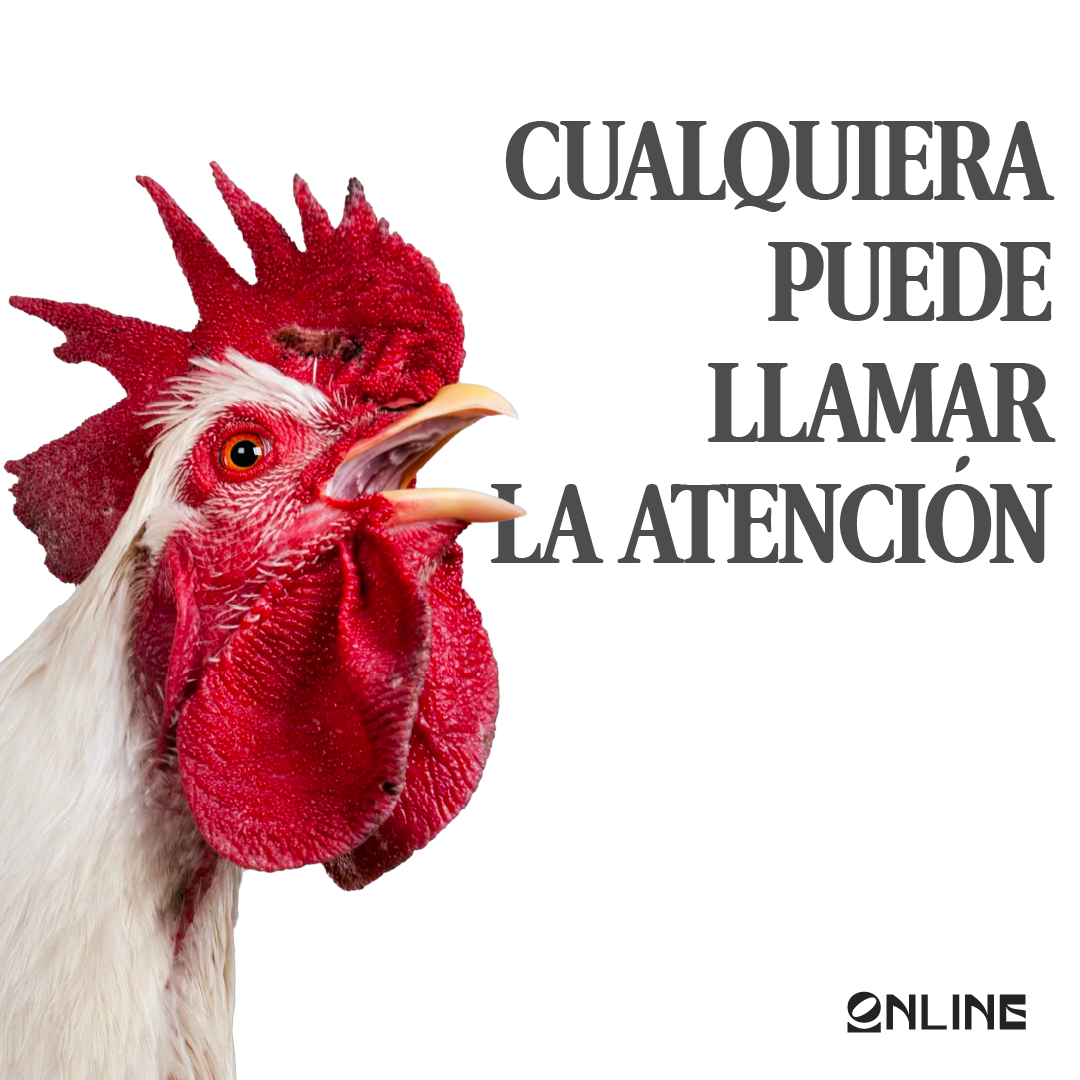 Online Agencia Creativa Facebook ad: ¿Tu marca tiene visibilidad… pero pocas consultas?