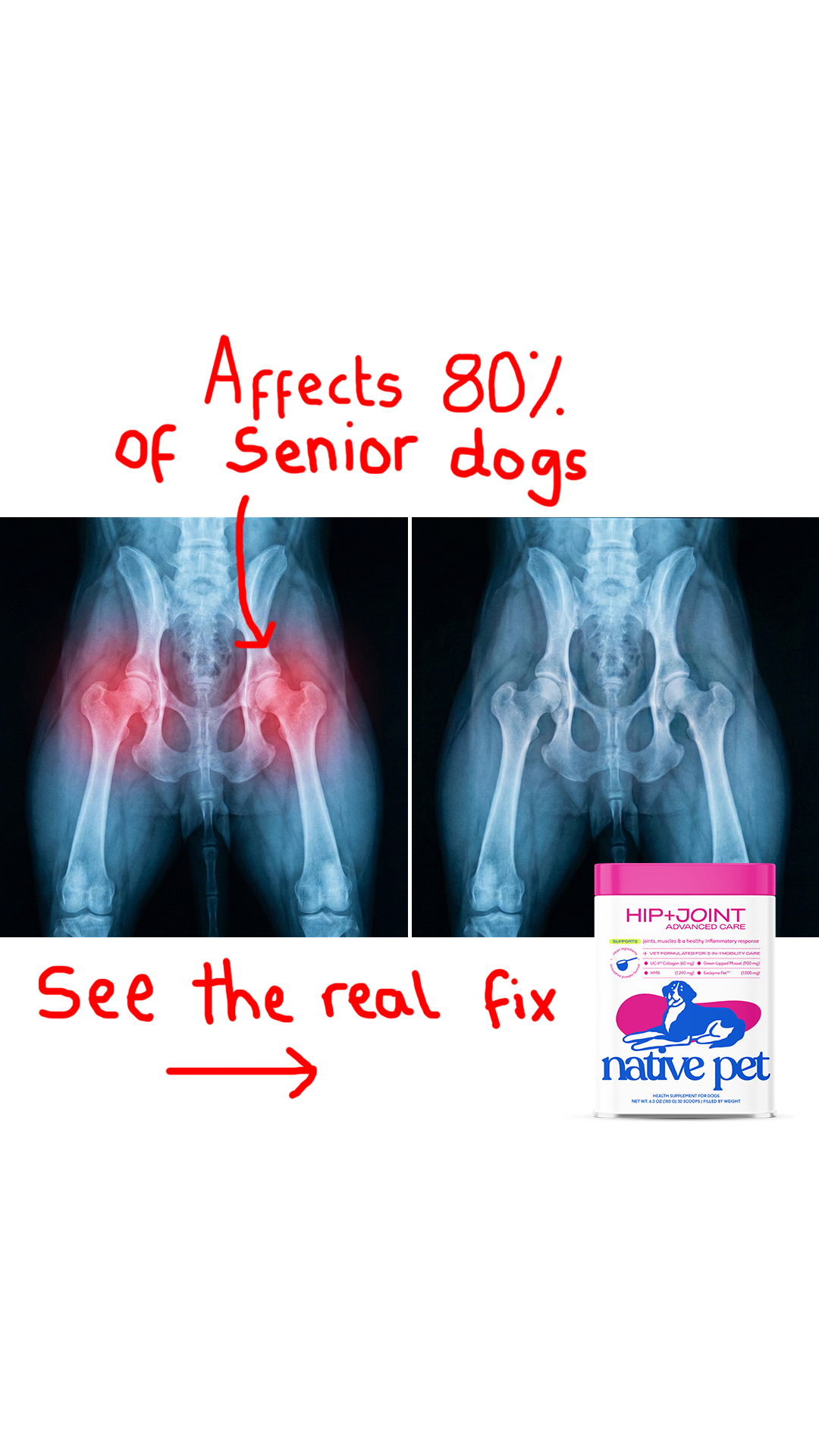 Native Pet Facebook ad