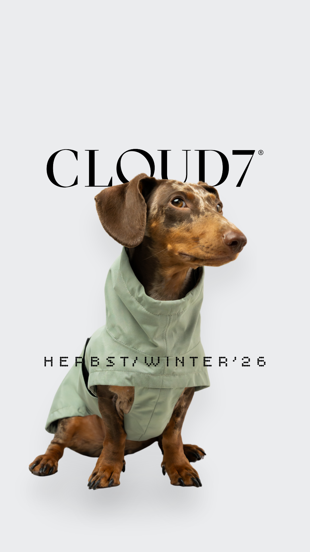 Cloud7 Facebook ad: Hier entdecken