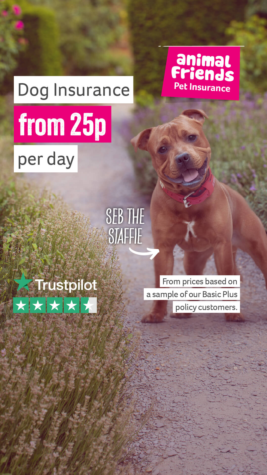 Animal Friends Pet Insurance Facebook ad