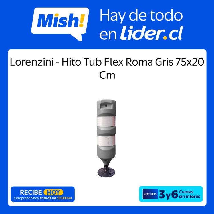 Lider Facebook ad: Todo lo que buscas está en Lider.cl